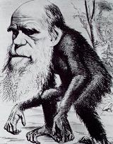 Creacionismo contra Darwinismo