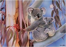 Reproducción y gestación de los koalas
