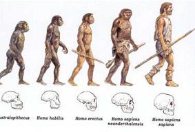 El proceso de hominización en la Península Iberica
