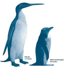 Un pingüino gigante